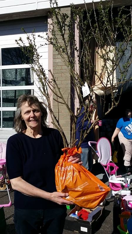 Anne Martindale and her free goji tree