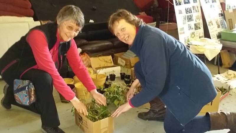 Free plants at PACT Seedy Saturday